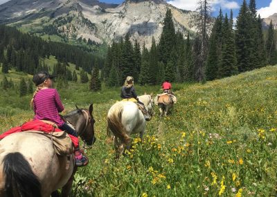 Best Horseback Riding Jackson Hole